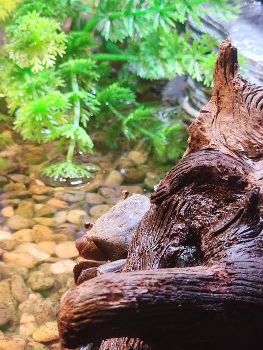 ZOO HOUSE, LLC Picture 10