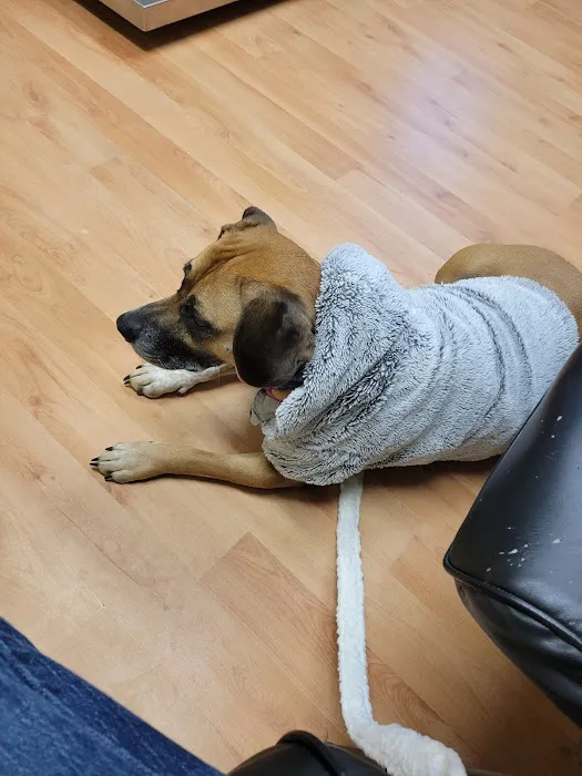 Berkshire Animal Care Picture 1