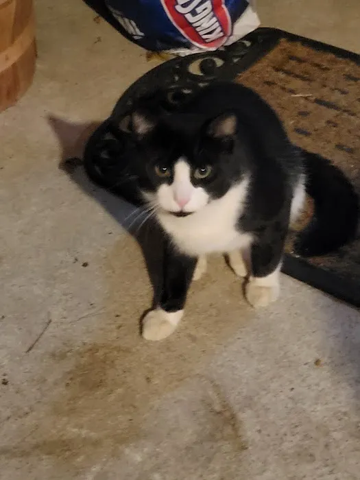 Berkshire Animal Care Picture 2