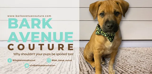 Bark Avenue Couture Picture 2