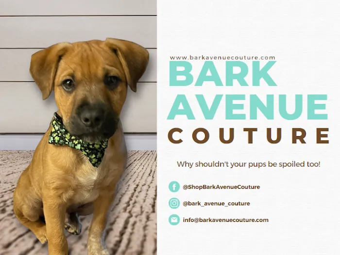 Bark Avenue Couture Picture 3