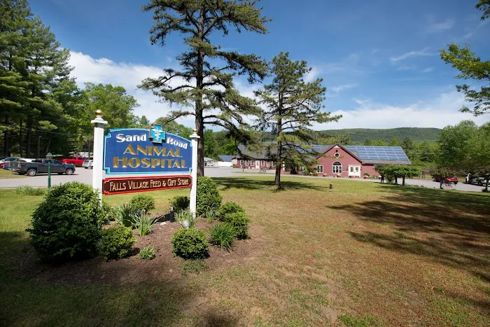Sand Road Animal Hospital Picture 1