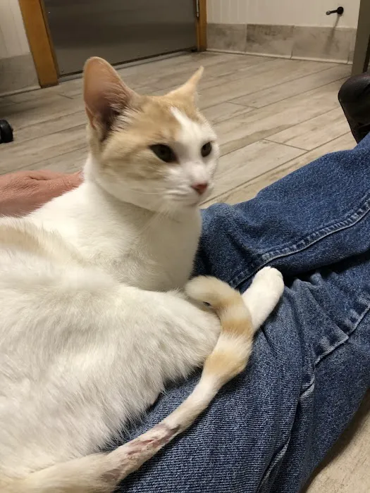 Sand Road Animal Hospital Picture 2