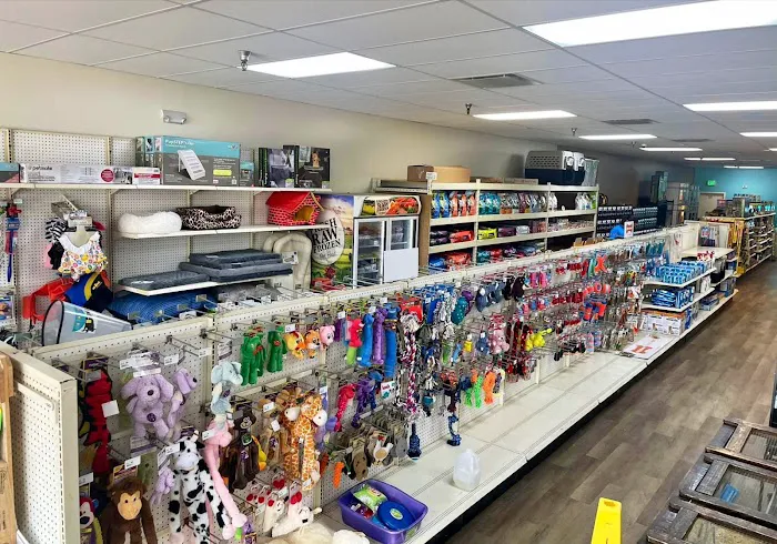 Pasco County Reptiles & Exotics Picture 1