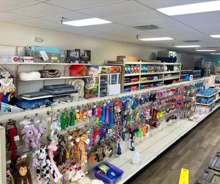 Pasco County Reptiles & Exotics