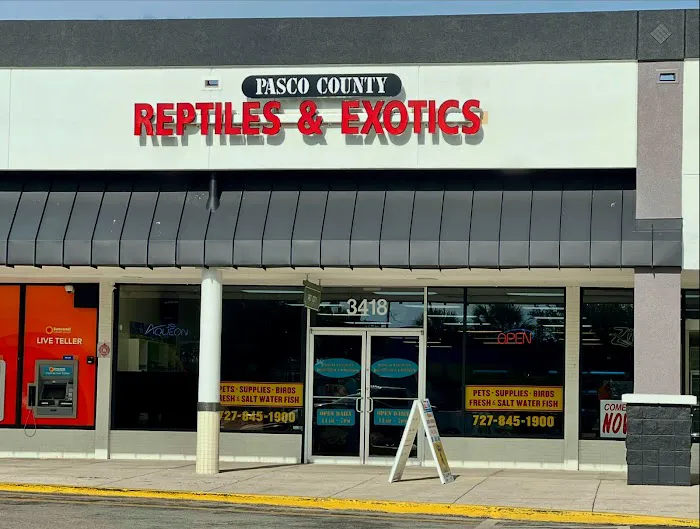 Pasco County Reptiles & Exotics Picture 3