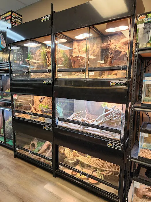 Pasco County Reptiles & Exotics Picture 9