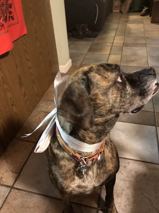 Bee Tree Veterinary Clinic LLC Picture 1