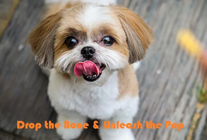 Pup Popz Picture 2