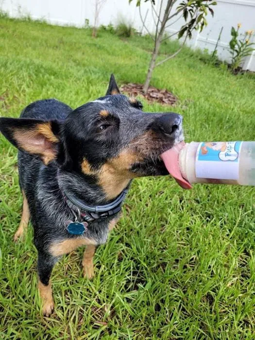 Pup Popz Picture 3