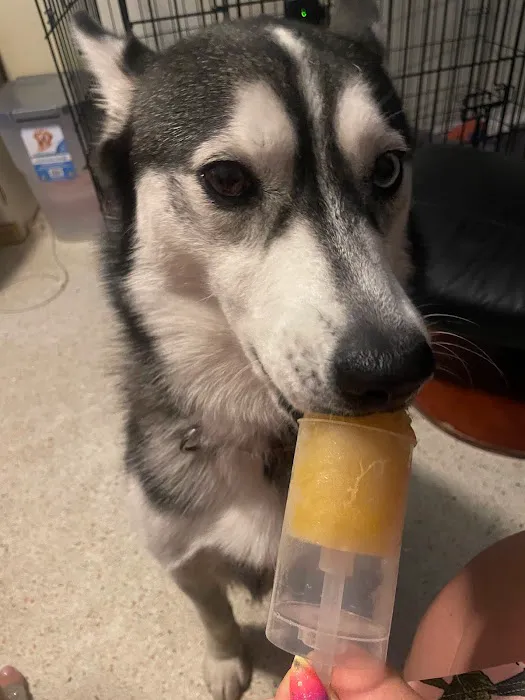 Pup Popz Picture 5