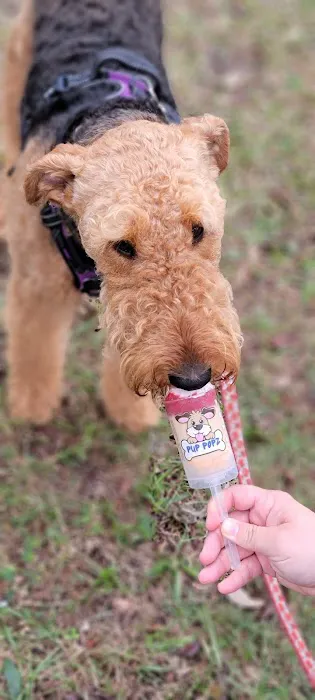 Pup Popz Picture 4