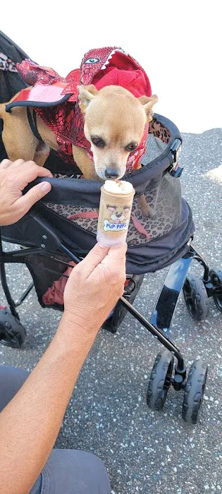 Pup Popz Picture 9