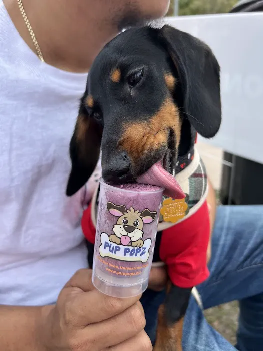 Pup Popz Picture 10