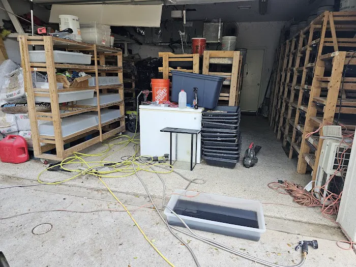 Rodents Direct Picture 2