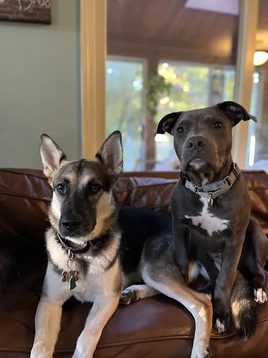 Townsend Veterinary Hospital Picture 3