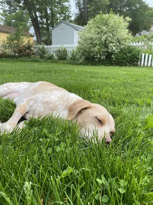 Townsend Veterinary Hospital Picture 1