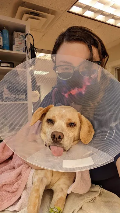 Townsend Veterinary Hospital Picture 8