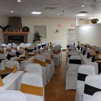 Best Friends Veterinary Hospital ico