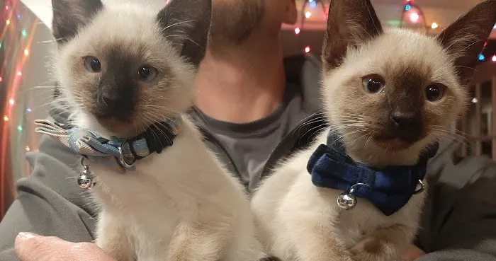 Best Friends Veterinary Hospital Picture 6