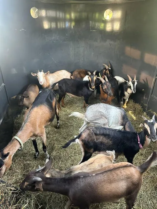 Best Friends Veterinary Hospital Picture 8