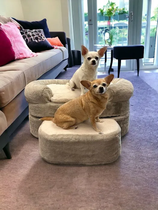 Steppy Bed Picture 2