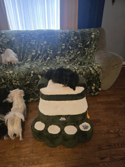 Steppy Bed Picture 5