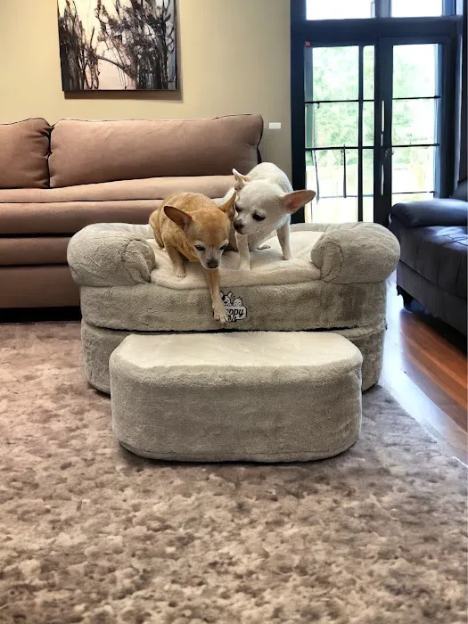 Steppy Bed Picture 8