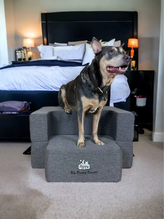 Steppy Bed Picture 6