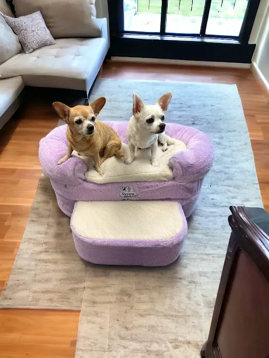 Steppy Bed Picture 7