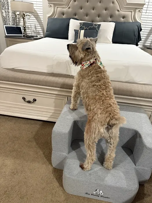 Steppy Bed Picture 10