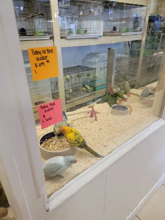 Fosters Exotic Pet Center Picture 3