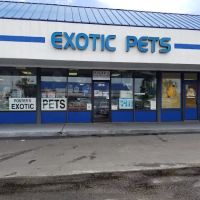 Fosters Exotic Pet Center ico