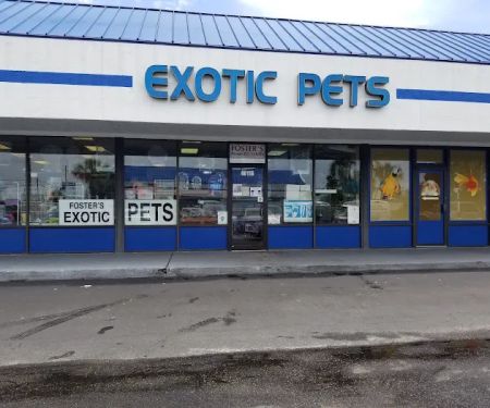 Fosters Exotic Pet Center