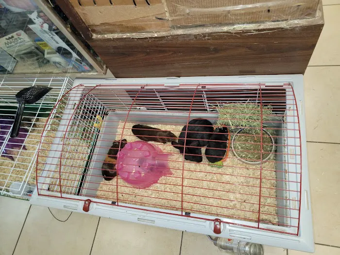 Fosters Exotic Pet Center Picture 6