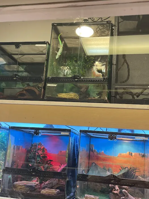 Fosters Exotic Pet Center Picture 7