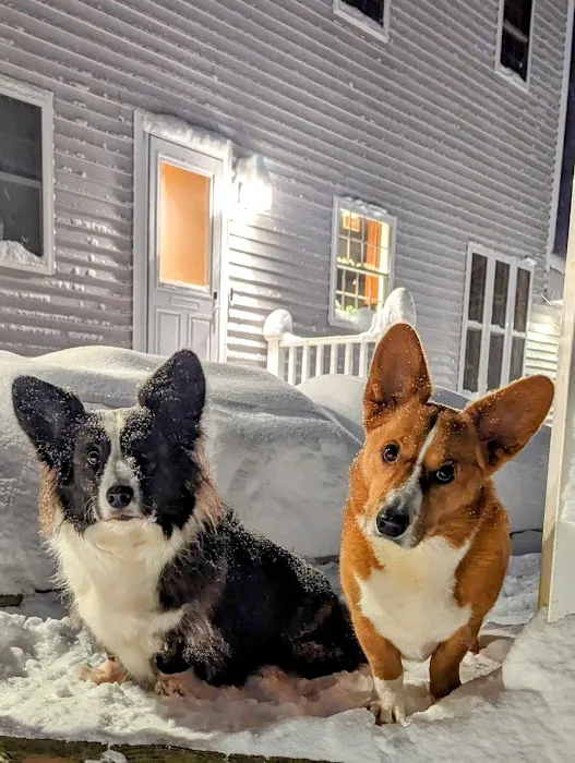 Jaffrey-Rindge Veterinary Hospital Picture 7