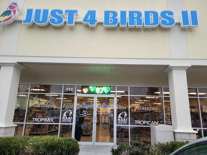 Just4BirdsII Picture 2