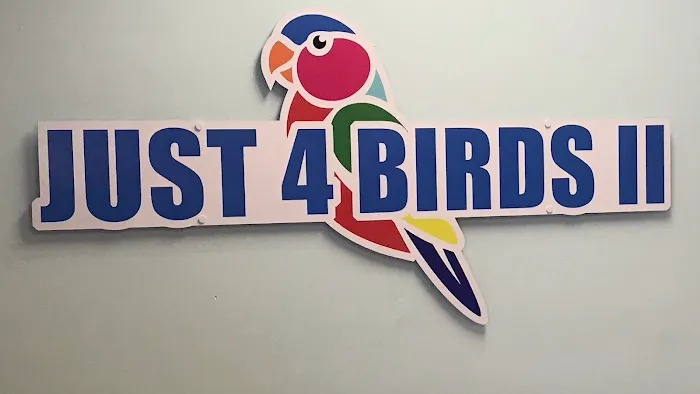 Just4BirdsII Picture 3