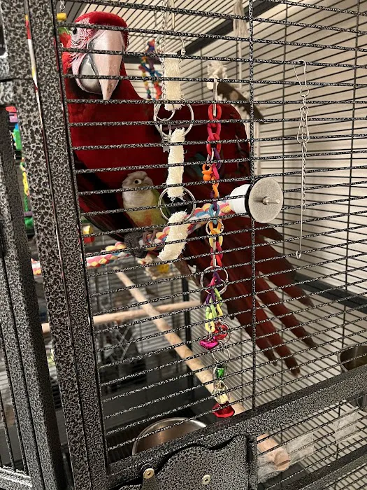 Just4BirdsII Picture 1