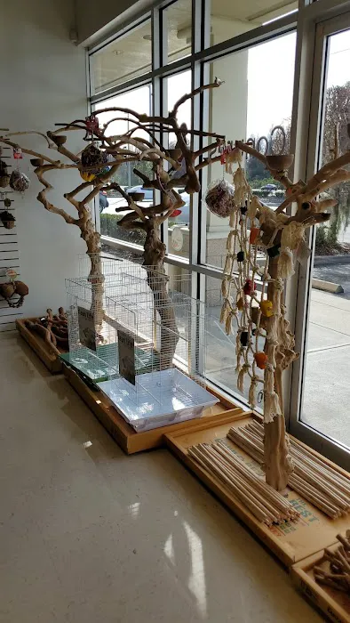 Just4BirdsII Picture 6