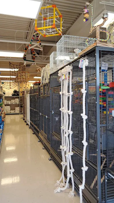 Just4BirdsII Picture 9