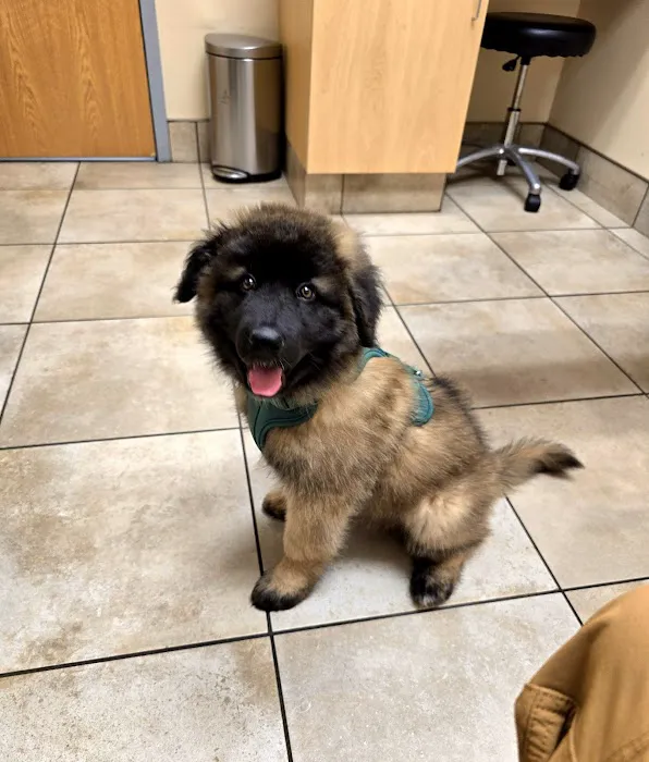 Keep 'Em Healthy Veterinary Clinic Picture 1