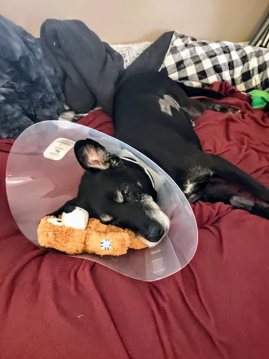 Keep 'Em Healthy Veterinary Clinic Picture 6