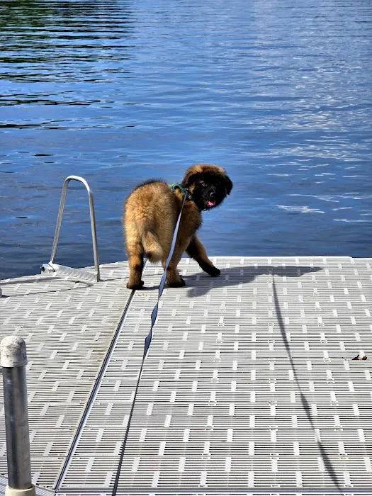 Keep 'Em Healthy Veterinary Clinic Picture 4