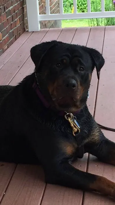 Keep 'Em Healthy Veterinary Clinic Picture 7