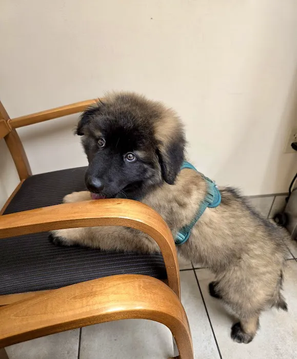 Keep 'Em Healthy Veterinary Clinic Picture 9