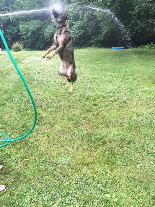 Keep 'Em Healthy Veterinary Clinic Picture 8