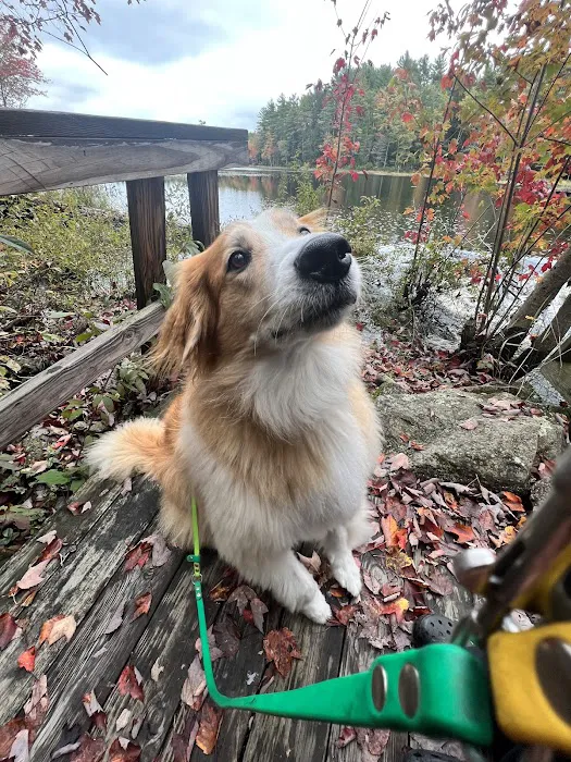 Animal Care Clinic-Monadnock Picture 1