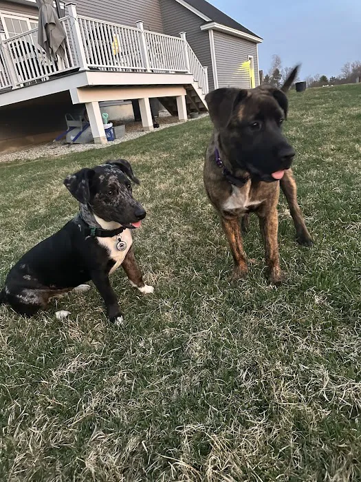 Animal Care Clinic-Monadnock Picture 5